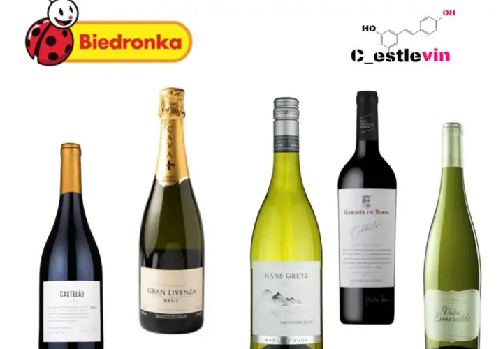 Dobre wina ranking: znajdź najlepsze wina na każdą okazję i budżet